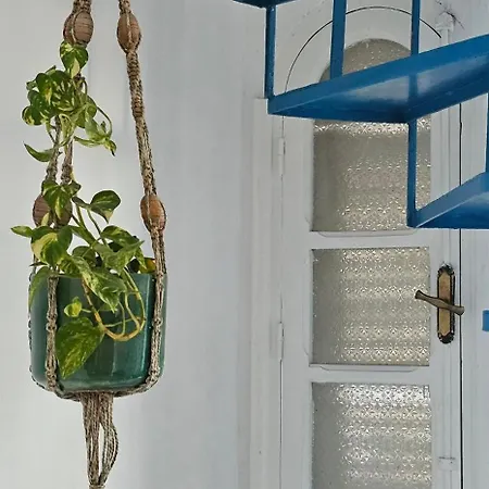 Stylish Duplex In Sidi Bou Said Apartment Exterior photo